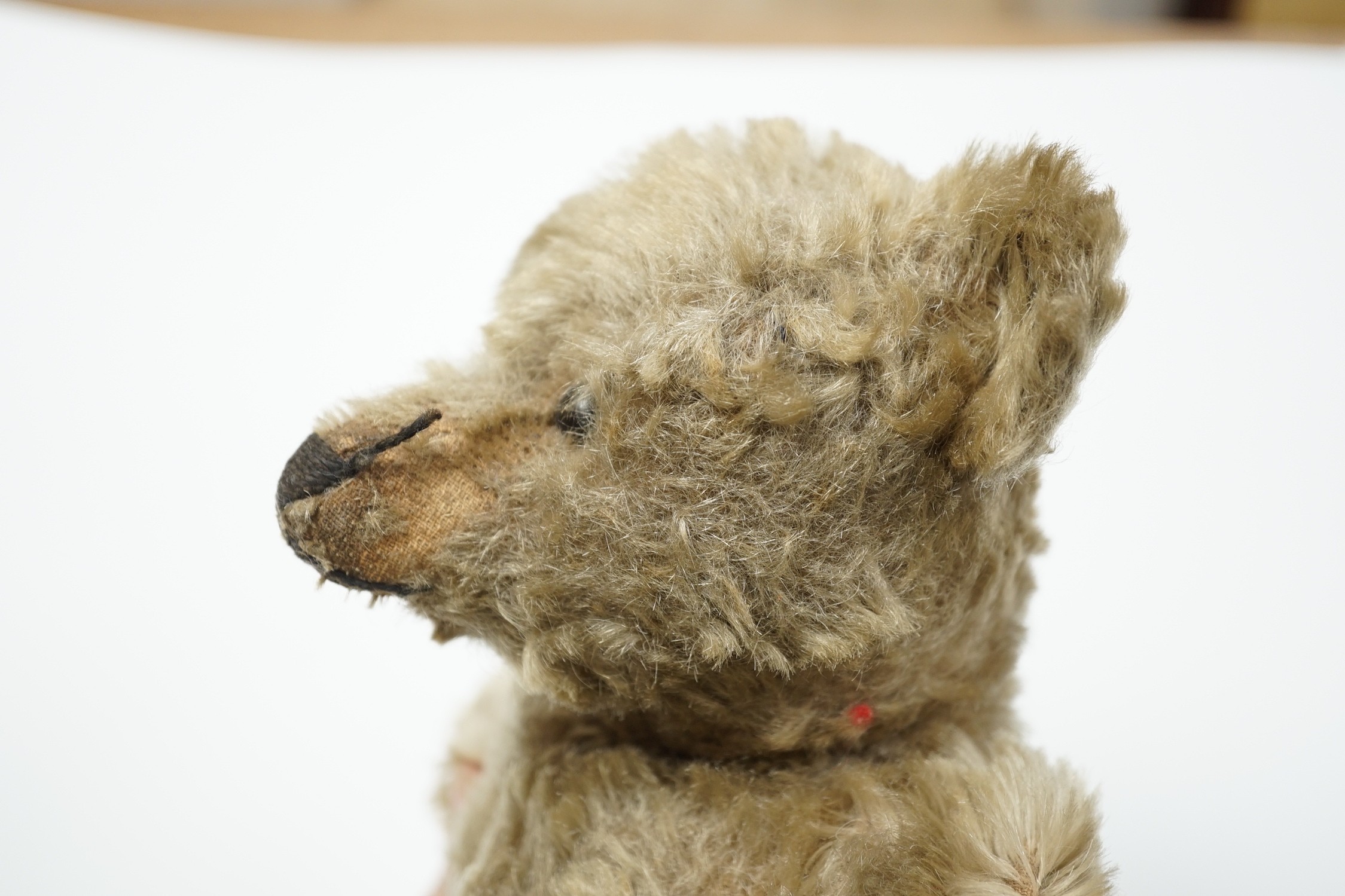A Steiff teddy bear with button in ear, circa 1910, 35cm